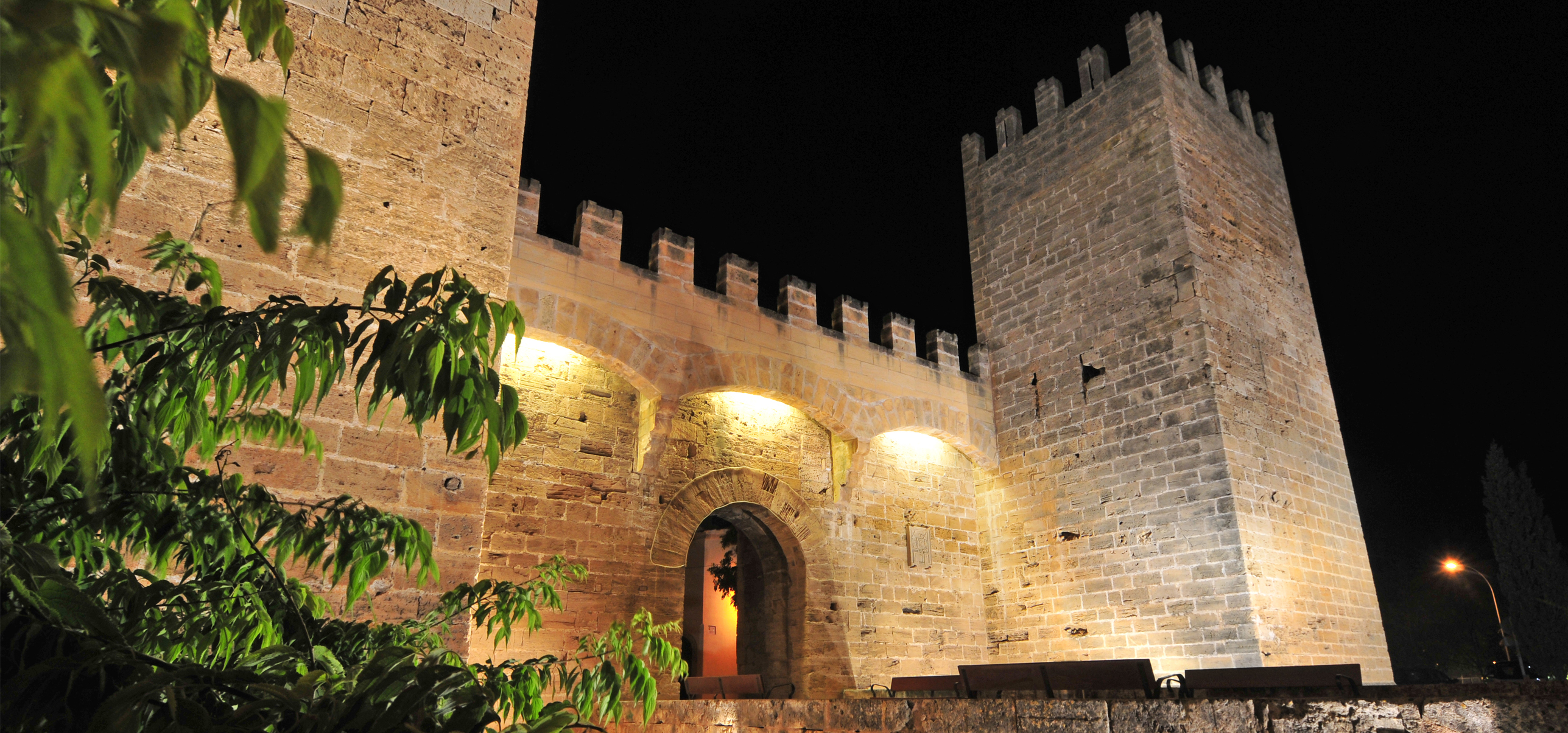 D. José Ferragut Pou